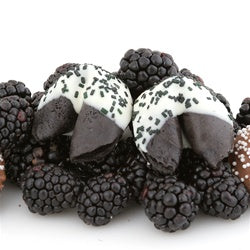 Chocolate Covered Fortune Cookies - Black Raspberry