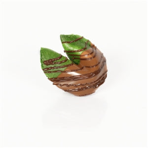 Chocolate Covered Fortune Cookies - Green Apple