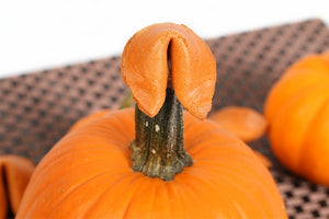 Custom Pumpkin Pie Flavored Fortune Cookies