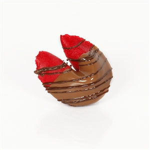 Chocolate Covered Fortune Cookies - Strawberry Banana