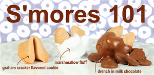 More S'mores Fortune Cookies